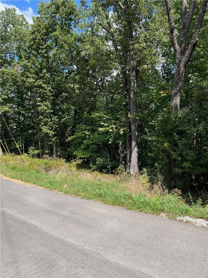 Location Location! This residential lot has convenient access to Hwy 71 or any direction.  Shopping, Dining & Golf @ the BV Country Club, pools, parks, Mountain Bike trails.
