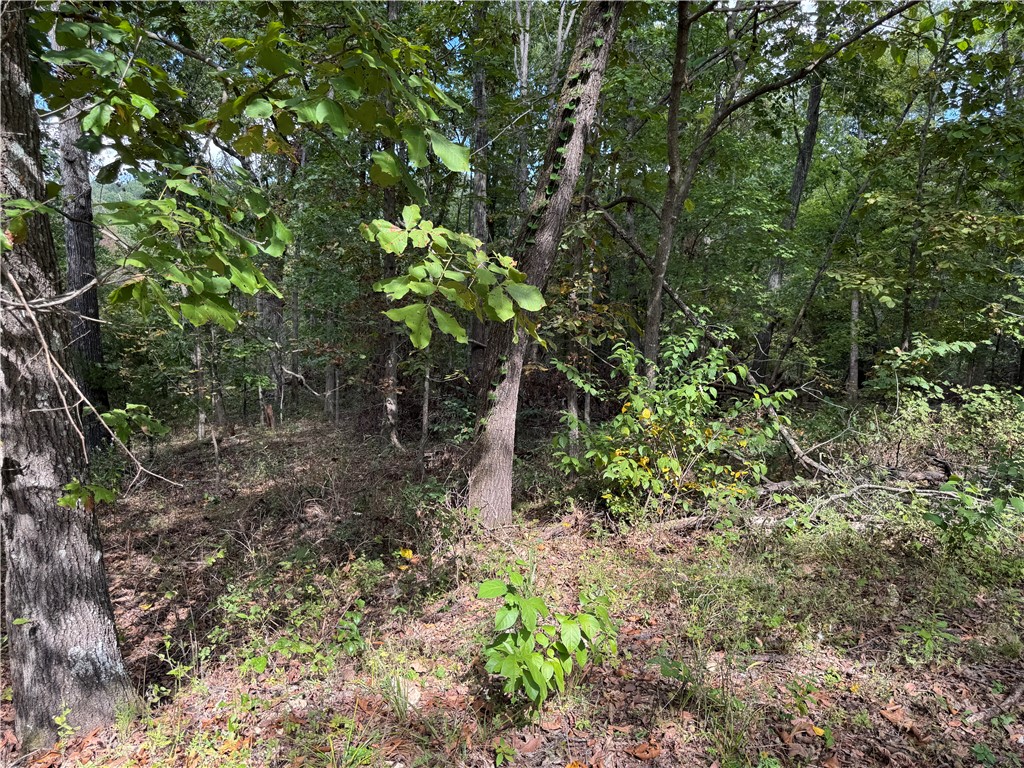 Discover the perfect blend of peace, privacy, and potential with this beautiful wooded lot tucked away on Carrick Lane in Bella Vista, Arkansas. This property offers a rare opportunity to build your dream home surrounded by nature, while still being close to all the amenities that make Bella Vista one of Northwest Arkansas’ most desirable communities. Nestled in a quiet, well-maintained area, this approximately .42-acre lot features gently rolling terrain ideal for a split-level design. Mature trees line the property, creating a serene backdrop and offering privacy from neighbors — perfect for anyone seeking a calm, natural retreat. Conveniently located near Loch Lomond, Branchwood Recreation Facility and Bella Vista's extensive trail system and golf courses! Whether your planning to build your forever home, a cozy vacation getaway or an investment property this lot provides the perfect canvas!