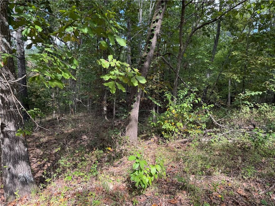 Discover the perfect blend of peace, privacy, and potential with this beautiful wooded lot tucked away on Carrick Lane in Bella Vista, Arkansas. This property offers a rare opportunity to build your dream home surrounded by nature, while still being close to all the amenities that make Bella Vista one of Northwest Arkansas’ most desirable communities. Nestled in a quiet, well-maintained area, this approximately .42-acre lot features gently rolling terrain ideal for a split-level design. Mature trees line the property, creating a serene backdrop and offering privacy from neighbors — perfect for anyone seeking a calm, natural retreat. Conveniently located near Loch Lomond, Branchwood Recreation Facility and Bella Vista's extensive trail system and golf courses! Whether your planning to build your forever home, a cozy vacation getaway or an investment property this lot provides the perfect canvas!