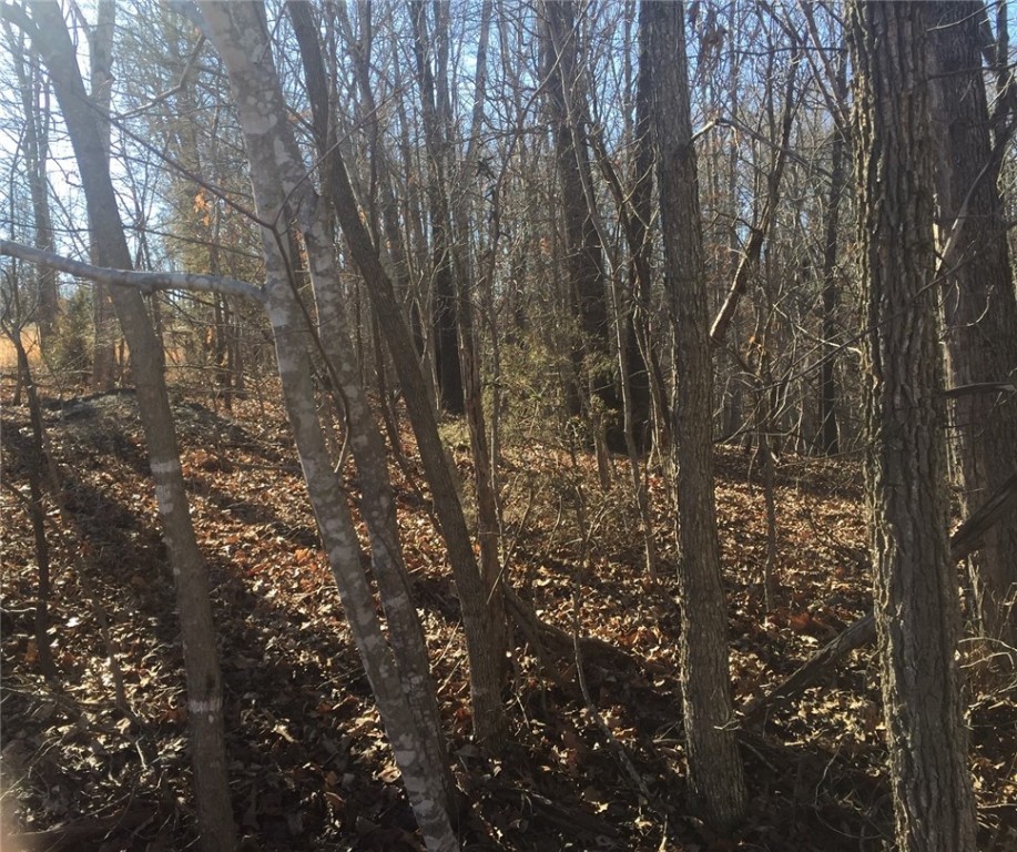 TRAILS, This is close to a trails parking lot, or just ride your bike to the trail. The street is gravel but this is the first lot from Chelsea RD. Great Place for a smaller foot print house.