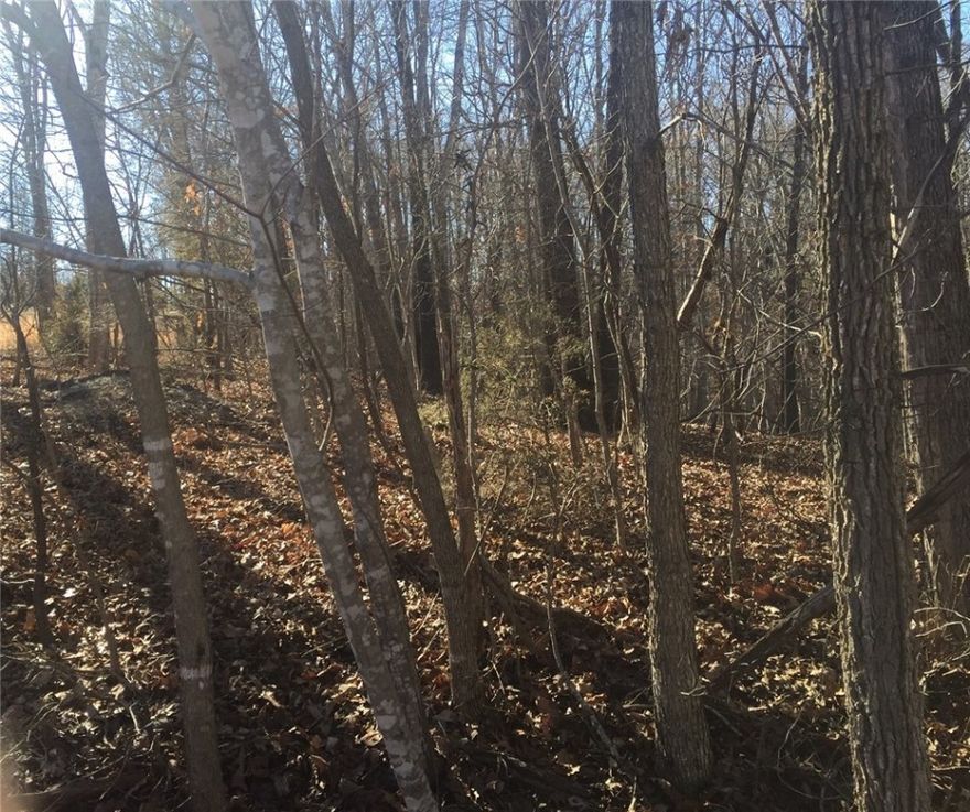 TRAILS, This is close to a trails parking lot, or just ride your bike to the trail. The street is gravel but this is the first lot from Chelsea RD. Great Place for a smaller foot print house.