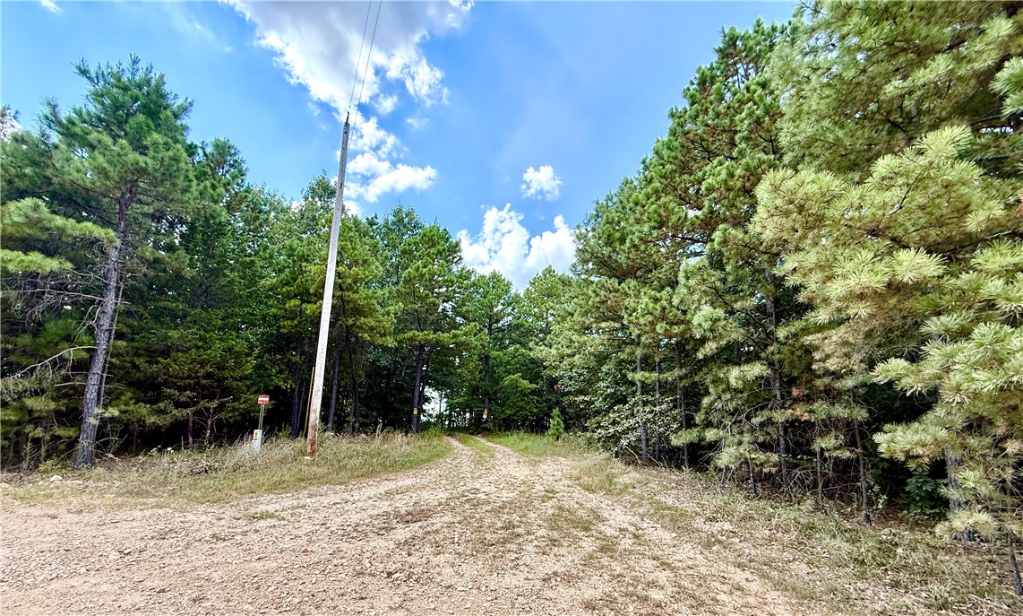 This versatile property offers over 1,000 feet of county road frontage with electricity available at the road, making it ideal for access, building, recreation, or future development. Gently sloping terrain provides multiple level sites perfect for a home, cabin, or hunting retreat. With well-worn game trails and abundant wildlife, itās a prime spot for hunting enthusiasts. Whether youāre looking for a recreational retreat or a land investment opportunity, this property delivers. Owner financing is available.
