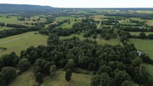 Discover 35 acres in the coveted Gaither Valley community! With approximately 1500 ft of PAVED ROAD frontage, this property offers rural water & NATURAL GAS access, and has electric on site. A rare find in Gaither, this land features a perfect mix of pasture and mature timber, a pond, and multiple building sites--all completely fenced. Ideal for your forever home or as an investment. Just 10 minutes from Harrison, 20 minutes from Jasper, and 15 minutes from the Buffalo National River. Don't miss this exceptional opportunity!