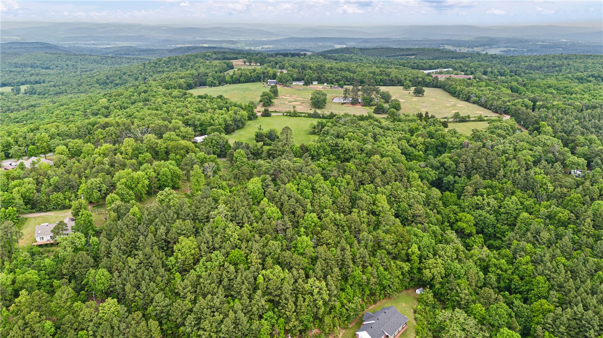 Looking for peaceful, secluded land to call your own? This 4.17-acre wooded property offers a quiet setting, with trees lining the private path leading to the listing. Tucked away down a driveway off Buck Mountain Road, it sits at a quiet dead end, providing the perfect escape. Whether you're dreaming of building a home, creating a hunting retreat, or simply investing in land, this beautiful, natural property is full of possibilities.