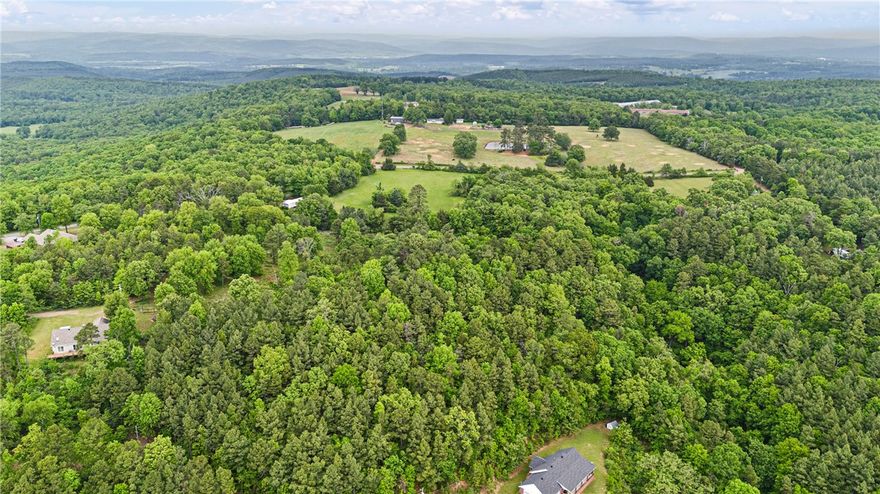 Looking for peaceful, secluded land to call your own? This 4.17-acre wooded property offers a quiet setting, with trees lining the private path leading to the listing. Tucked away down a driveway off Buck Mountain Road, it sits at a quiet dead end, providing the perfect escape. Whether you're dreaming of building a home, creating a hunting retreat, or simply investing in land, this beautiful, natural property is full of possibilities.