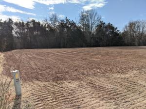 Perfect lots to build your dream home in Pottsville. These lots have been approved by FEMA to be raised out of the floodplain and the lots have been raised out. Waiting for final certificate from FEMA. These lots will be very easy to build on as they are level. This subdivision is only minutes from Pottsville Elementary School. It also features underground utilities. Minimum size home is 1,600 sqft. Please call with any questions.