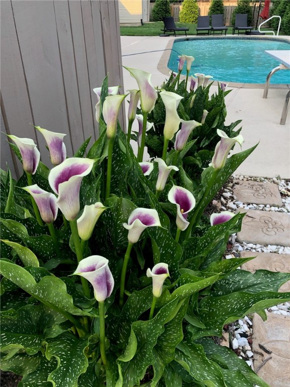 Centre Court-Rogers - Residential