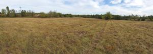 Part of a large tract of land located along Gipson Road which is zoned R-3. There is also an adjoining 40 acres tract (MLS#136242) which is also zoned R-3. This zoning allows for high density housing, apartmets, condo's, etc. See attached documents for permitted uses. This parcel lies in the ''OPPORTUNITY ZONE'' which allows potentially large tax deductions to a prospective Buyer or Investor.