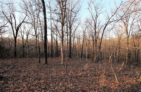 Unimproved Land in Green Forest AR TBD County Road 645.jpg