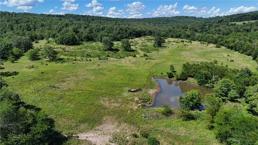 Don't miss the opportunity to own 242 contiguous acres in a great location. Take in the scenery from this country setting of rolling, useable land. Approximately 75 acres of open ground, the balance is wooded, 2 established ponds and numerous other watering holes, wet weather creek running through property. Great potential for livestock, small set of working pens and head gate in place. Room to roam and enjoy the outdoors with deer, bear, and other wildlife. Ready for your forever home or weekend getaway with rural water, septic, Ozark electric/OzarkGo fiber. Great out of town location with easy access to pavement and all the necessities. Less than 30 minutes to Fayetteville/Springdale area. Lots of possibilities in a hard to find property! Utility availability is the responsibility of the buyer or buyers agent.