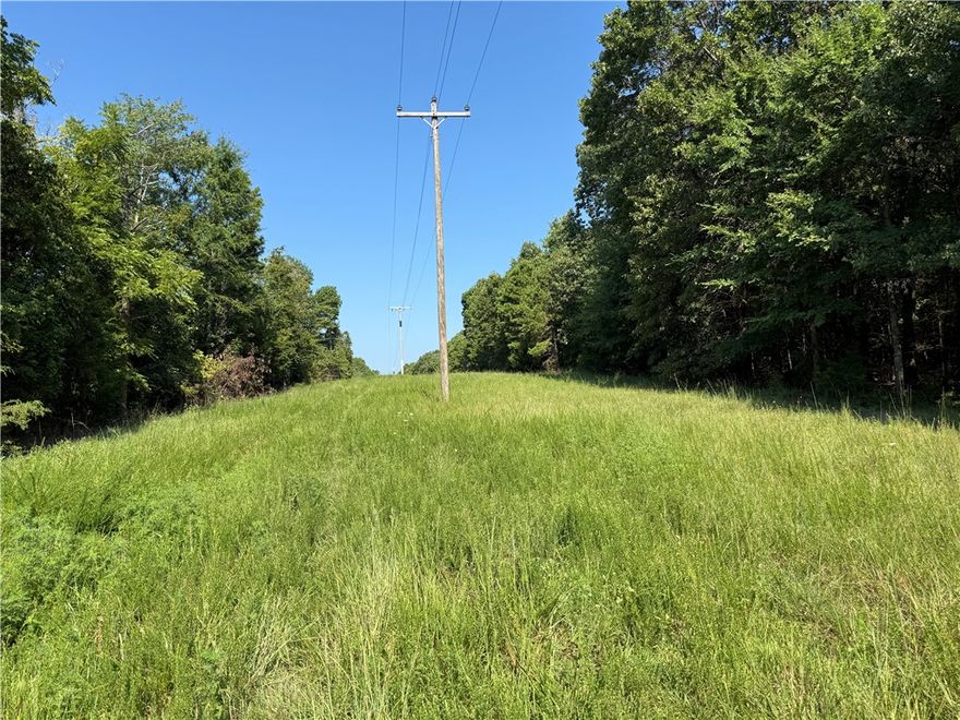 Tucked in the wooded hills of Carroll County, this 7.91-acre slice of country charm offers peace, privacy, and potential—just south of Berryville, AR. Located off Highway 21 on quiet, paved County Road 516, the property features beautiful mature timber and a natural landscape that’s perfect for your dream cabin, weekend getaway, or forever home. Power is already on site, so you can hit the ground running. You’ll love the quiet seclusion this tract offers, while still being less than an hour from Springdale—close enough for a commute, far enough for a breath of fresh air. Light restrictions are in place to help protect your investment and preserve the neighborly feel of the area: no mobile homes, no full-time living in campers, tents, or sheds, and homes must be built on a permanent foundation or slab. Utility easements are permitted as needed. Additional lots are available if you're looking for more acreage.