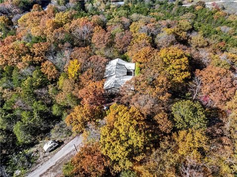 Photo of 14129 Highway 311, Green Forest, AR 72638 (MLS # 1331011)