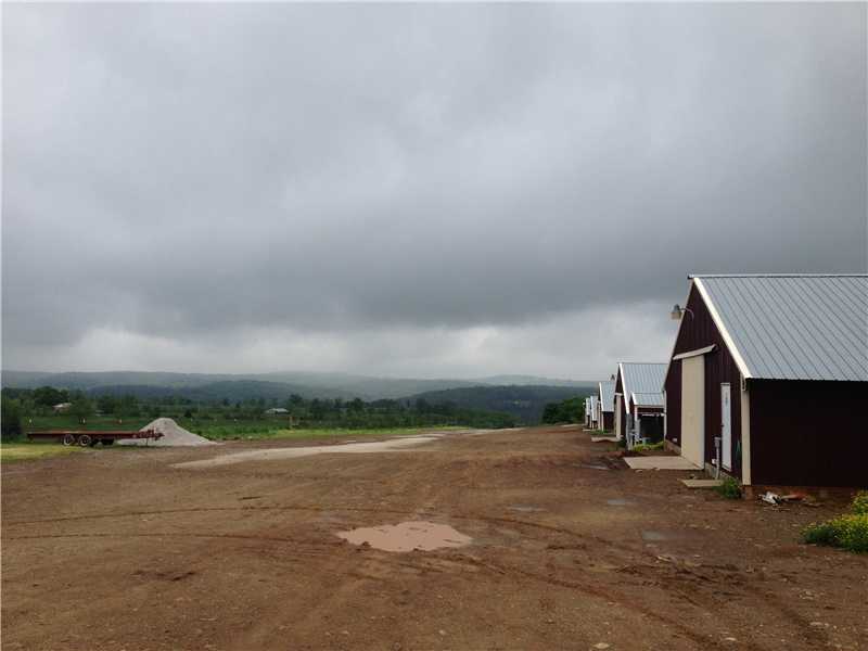 Beautiful views! Two new barns with George's premium pay