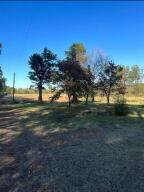 15 Acres of Serene Countryside Bliss - Your Dream Retreat Awaits!With 15 acres of lush, untouched land, there's ample space to build your dream home, establish a hobby Contact us today to schedule a private viewing and start envisioning the possibilities that await on this magnificent 15-acre property, or create your own private oasis.