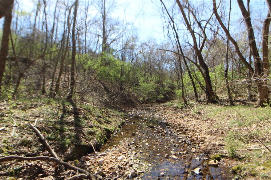 Located just outside of Fayetteville city limits. Prime 12.64-acres opportunity in Farmington School district. Experience the best of both worlds: a private, nature-filled sanctuary that is minutes from I-49, Hwy 16, and the MLK corridor. This tract offers variety and diversity with mature trees, varied topography, seasonal springs/wet-weather creeks, several clearings previously utilized as homesites. A true haven for local wildlife! Ideal for those looking for a private retreat with unique character. Electric on property. A fantastic opportunity to secure acreage just minutes from town. Property perked in two buildable homesites.