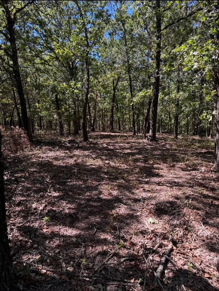 Lake Lucerne Estates Sub - Land