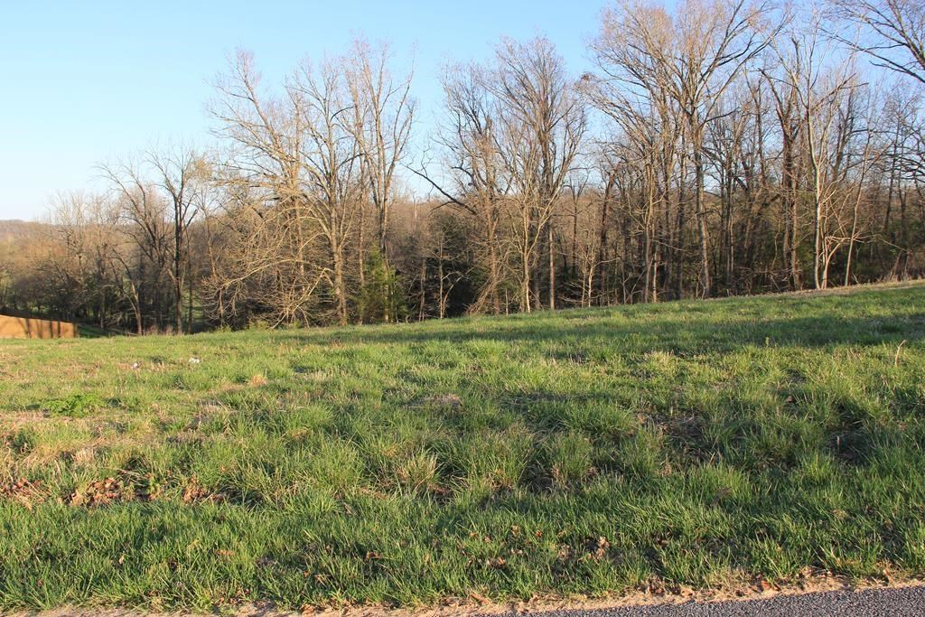 Great lot to built on! Second phase of Sylvan Acres. See covenants. Remarkable views. All lot are wooded and sloped. Close to Beaver Lake! Public roads and rural fire department