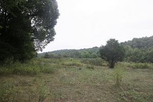 Great parcel of property lying east of Bergman.