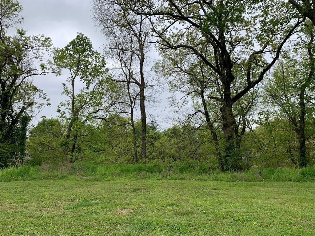 This half acre lot is a rare find on one of the most popular blocks in Siloam Springs. Located on a beautiful street with a mix of new and historic homes, Walking distance from the beautiful Downtown Siloam Springs. The property has beautiful woods and amazing views, Overlooks a wet weather creek running well below the property