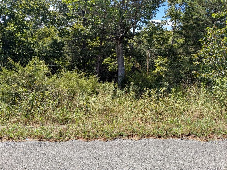 Ready for your dream home? This lot is a block from the Holiday Island Recreation Center and a short walk to the water. Quiet and gently wooded within a neighborhood, this lot offers the best of both worlds. Enjoy the amenities in Holiday Island like golf courses, a country club, swimming, tennis and a marina with a fishing dock or watch the local fauna from your front porch! Nearby Eureka Springs or Rogers offers great shopping and vibrant cultural hubs.