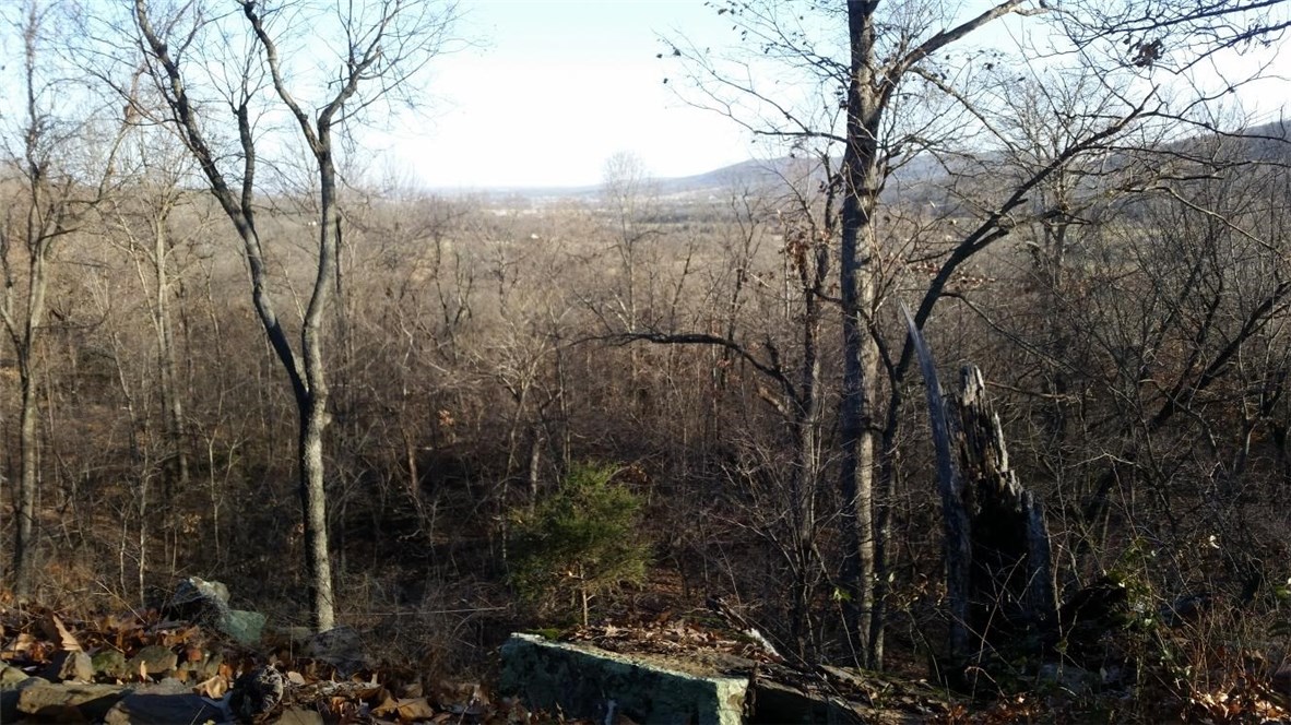 Looking for property for development, hunting or dream home location? This is a rare find with additional acreage available (another 77 acres mol mls 1135603). The dream of having your own land close to town with easy commute to Fayetteville can become reality! Personal showings are available upon appointment - 24 hour notice required - do not enter the premises without an agent present. Solid boundary lines are subject property; dotted lines are adjoining 77 ac. mol.