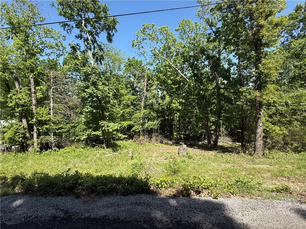 Unit 1 Holiday Island - Land