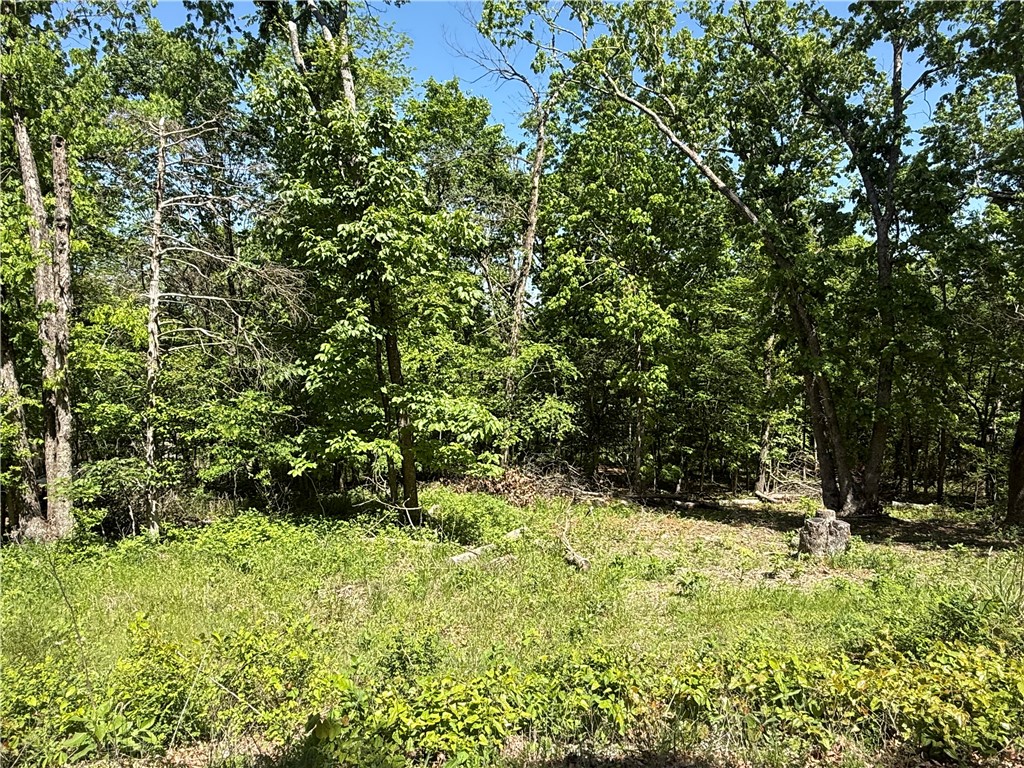 Unit 1 Holiday Island - Land