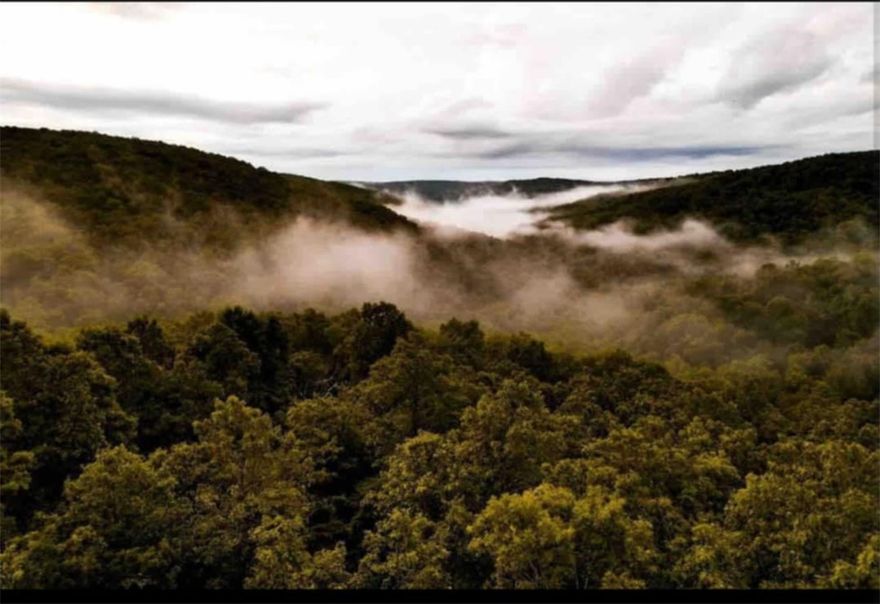 Charming cabin on 40 secluded acres with stunning mountain views. This cozy retreat is currently an active Airbnb and will be sold Turnkey, ready for your next adventure. Features include two RV slots, providing ample space for guests or future expansion. The property offers incredible potential—whether you farm, develop, or enjoy as a private escape. Surrounded by nature, yet within easy reach, this versatile property is perfect for vacation rentals, a private getaway, or future development. Don’t miss the opportunity to own this scenic, income-producing property with endless possibilities. Contact me today to schedule a showing! Cross reference MLS 1322332