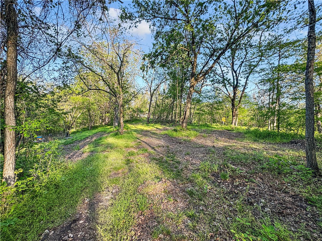 Uncover a rare opportunity to own 12 unrestricted acres along scenic Highway 62 near Eureka Springs. This wooded property features two separate entrances, extensive highway frontage, and two spacious flat cleared areas surrounded by mature trees, offering privacy and versatile open space. A natural cave adds to the land’s distinct character, and wildlife including deer, turkey, and fox are often seen on-site. Just about a mile away is Opera in the Ozarks, with Devil’s Eyebrow Natural Area, Beaver Lake, the White River, and Lake Leatherwood all close by—offering world-class trout fishing, boating, hiking, and biking. Bentonville and Northwest Arkansas’s expanding network of trails, shopping, and dining are also within easy reach. Whether you're seeking privacy, recreation, or a long-term investment, this property combines natural beauty, a prime location, and full flexibility in the heart of the Ozarks. OFFERS AND INQUIRES MADE AFTER 4PM ON FRIDAY WILL BE ANSWERED THE FOLLOWING MONDAY AFTERNOON