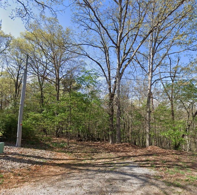 Nice lot on Minerty Circle at the end of a Cul de sac.
The back 40 trail runs behind the property.