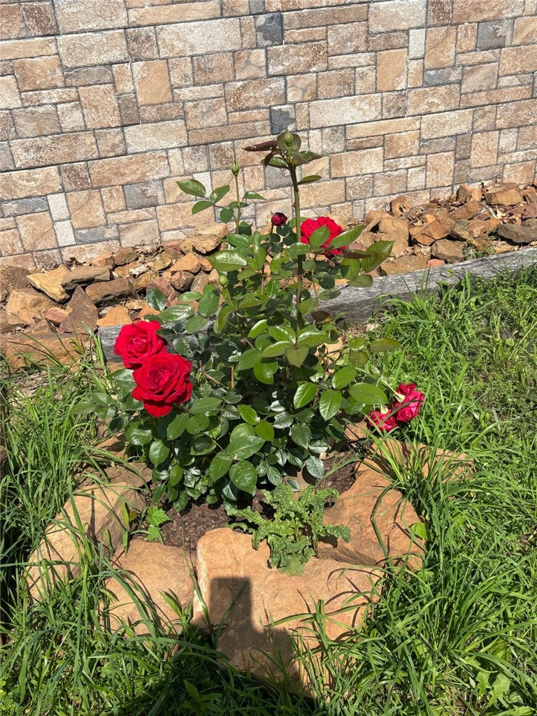 Hollands Sub - Residential