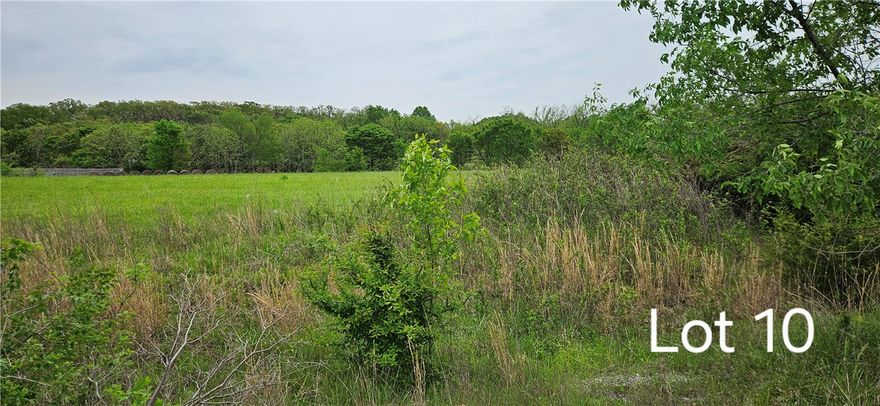 Build your dream home on this peaceful piece of property.  Well and septic are needed. 
Only 9 minutes from Walmart Supercenter and close to other shopping.  Siloam Springs Schools.