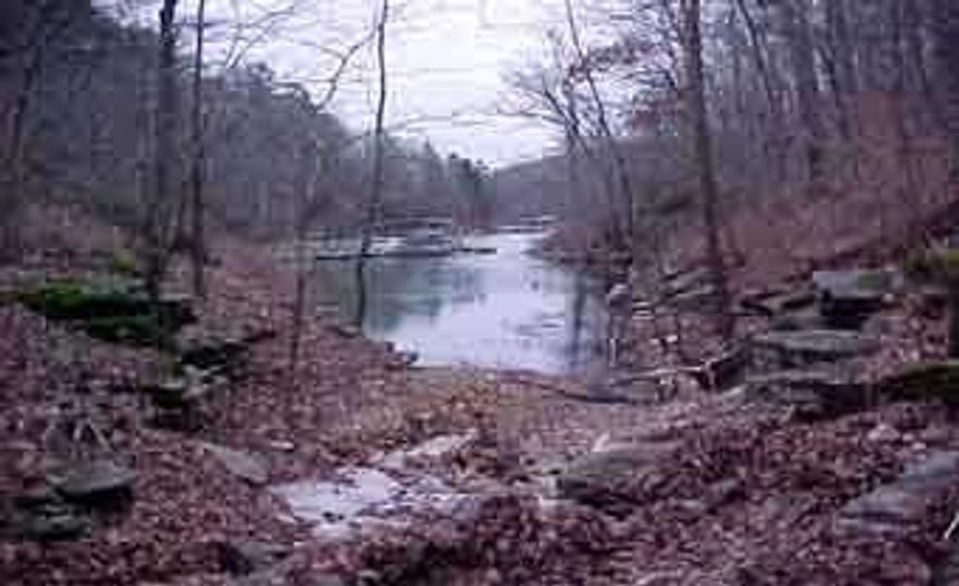 Lake access. Bring an offer! Motivated seller! Build a custom home on Beaver Lake at Ventris Hollow or build a small cabin for lake fun or hunting. Boat ramp nearby at the end of Jims Trail. Pebble Beach is a mere 2 miles away. Small pond. Lots of wildlife. Well & septic needed. Electricity at the street. Corner lot off paved road. Recently surveyed. Adjoins Army Corps property.