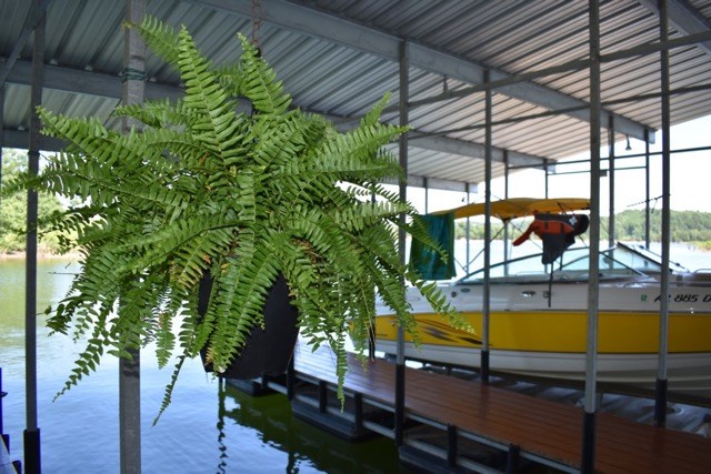 27/19/29 Rural - Residential