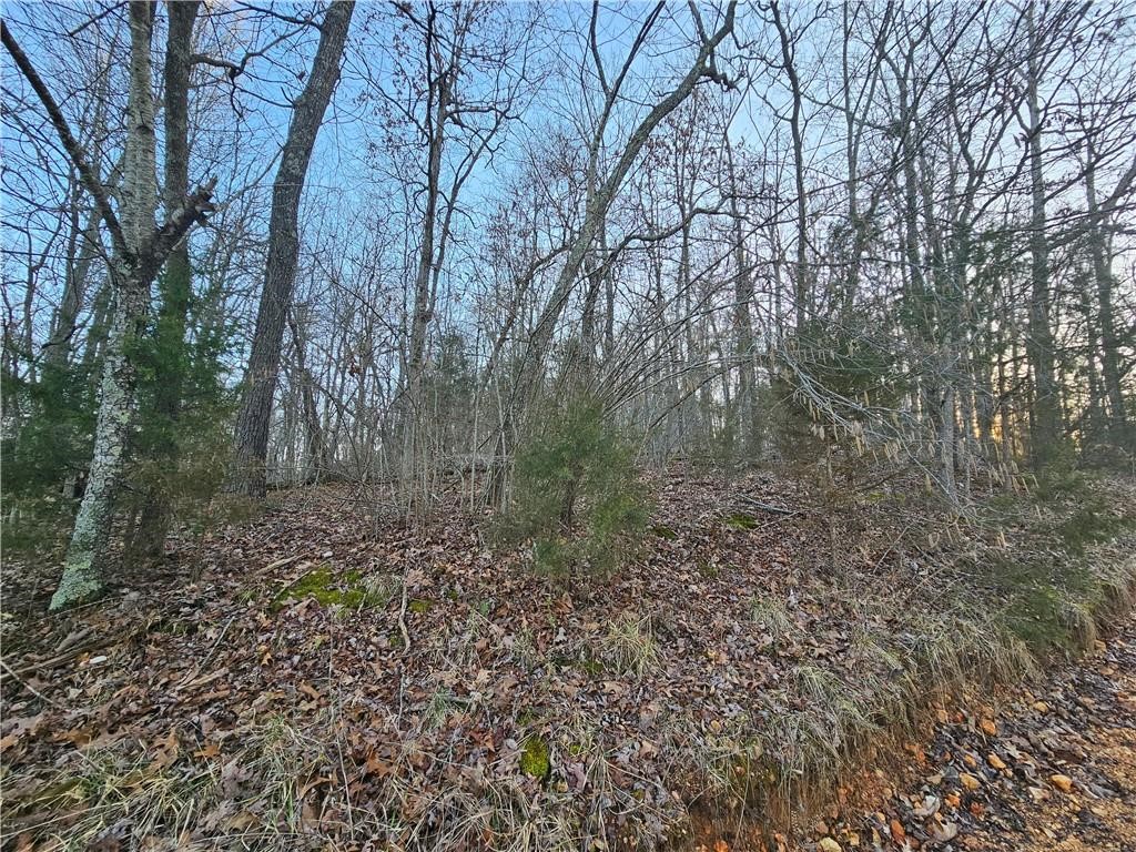Great for building your dream home/cabin near the lake. Just minutes to Monte Ne Chicken Restaurant. Very peaceful and a view of the lake.