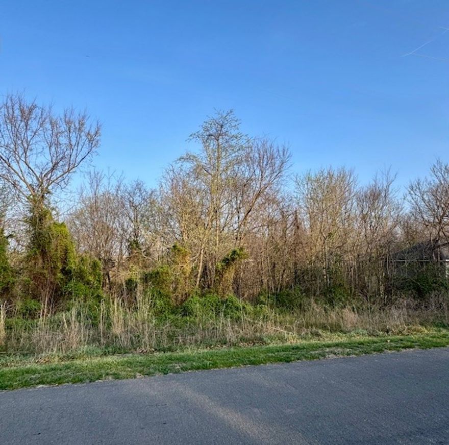 Discover the perfect spot to build your dream home on this beautiful 0.26-acre lot in Bella Vista! Nestled in a peaceful, wooded setting, this property offers the ideal blend of privacy and natural beauty while still being close to all the amenities, shopping, and dining the area has to offer. Enjoy the serene surroundings, abundant wildlife, and access to Bella Vista’s renowned outdoor lifestyle, including nearby golf courses, walking trails, parks, and lakes. Whether you’re looking to build a full-time residence or a relaxing getaway, this lot provides a fantastic opportunity to create your own slice of NW Arkansas.