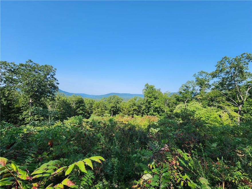 Tucked away in the heart of Newton County, this 20± acre tract is ready to impress. Whether you’re dreaming of a secluded hunting retreat or the perfect spot for your private getaway, this property delivers. Enjoy sweeping Ozark Mountain views and a location just 0.7 miles from the Buffalo National River—spanning over 94,000 acres of unspoiled beauty. Utilities are close at hand with electricity nearby (or go solar), and rural water available at the road. Buyer to verify all utilities. Wildlife is abundant—black bear, whitetail deer, turkey and endless small game roam these woods. Claim your slice of the Ozarks today and start living the adventure.