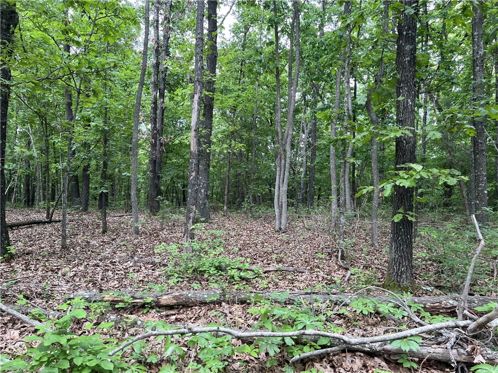 Possible Owner Financing Available!! Nice level building site on 6 Acres with large trees and NO Restrictions. This is must see if you are looking for a pretty wooded spot to build.