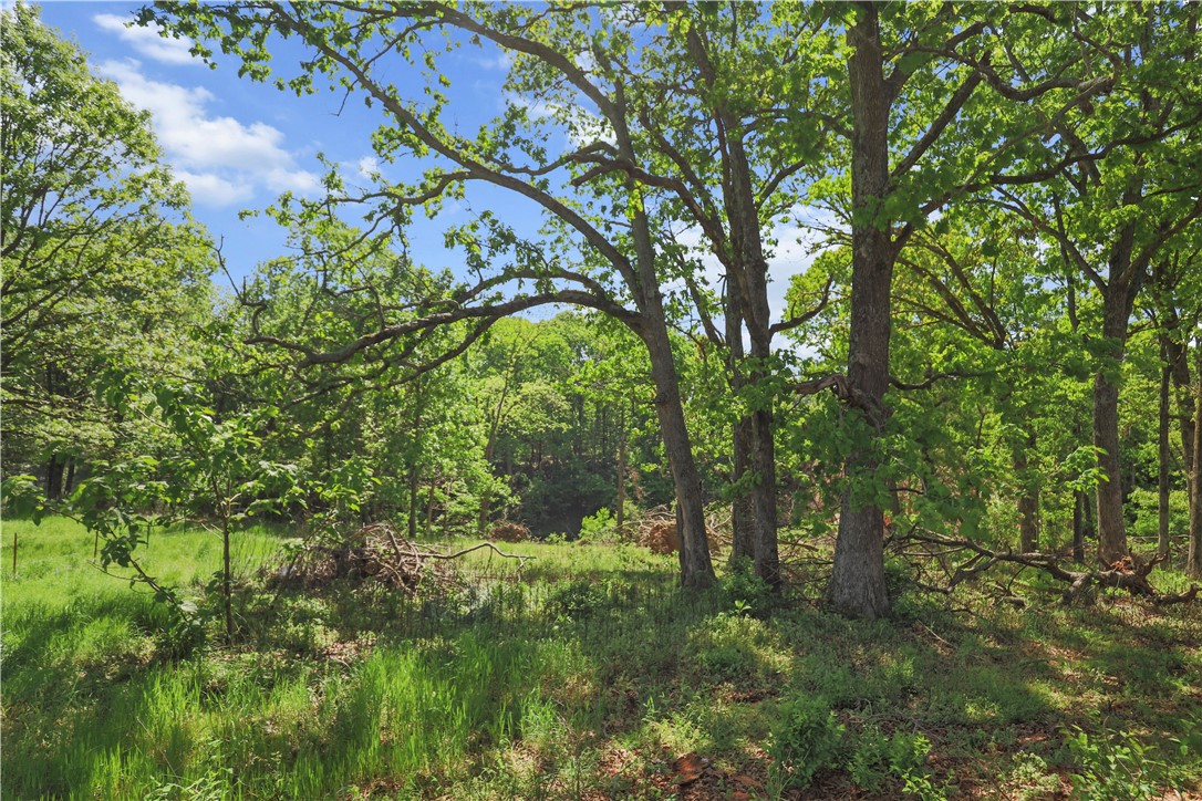 Orndorff Acres Rurban - Residential