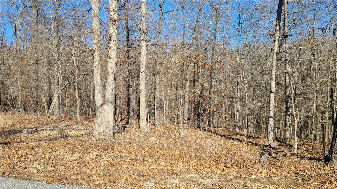 Culdesac lot near Back 40 Trail, Taylor Homestead trail crossing.