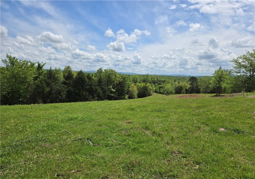 Escape to your own private Ozarks retreat with this stunning 80-acre property at the end of the road—offering total seclusion, yet just miles from the Buffalo National River. This mixed-use property features a perfect blend of open pasture and beautiful woodlands, making it ideal for a homestead, hunting camp, or a getaway cabin. Enjoy unbelievable views, multiple potential building sites, and natural features like a cave, freshwater springs, and an abundance of wildlife. Whether you’re into hiking, horseback riding, hunting, or just soaking in nature, this land delivers. With Brush Creek forming one of its borders, you’ll have water access and added tranquility.