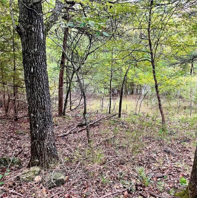 Unit 116 Holiday Island - Land