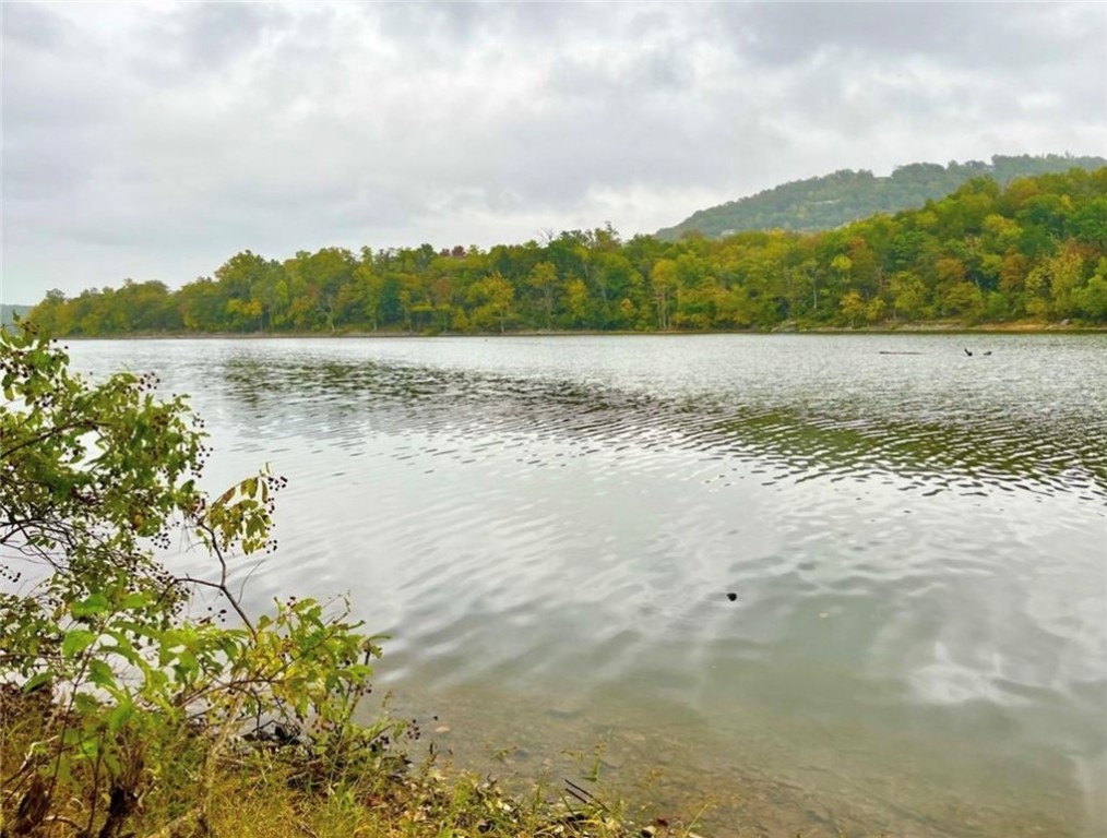 Build your dream home or invest in this gorgeous lakefront lot in the peaceful Holiday Island community on Table Rock Lake! This 0.33-acre parcel offers beautiful lake views, a low Corps of Engineers line, and utilities available at the street Located on a paved road with a gentle slope—ideal for building.
Holiday Island features a wide range of amenities:
2 championship golf courses
Full-service marina
Clubhouse, pool, tennis courts, walking trails
Nearby shopping, restaurants, and healthcare
Whether you're looking to build now or later, this lot provides excellent value and opportunity. Lakefront, utilities ready, and priced to move—this one won’t last long!