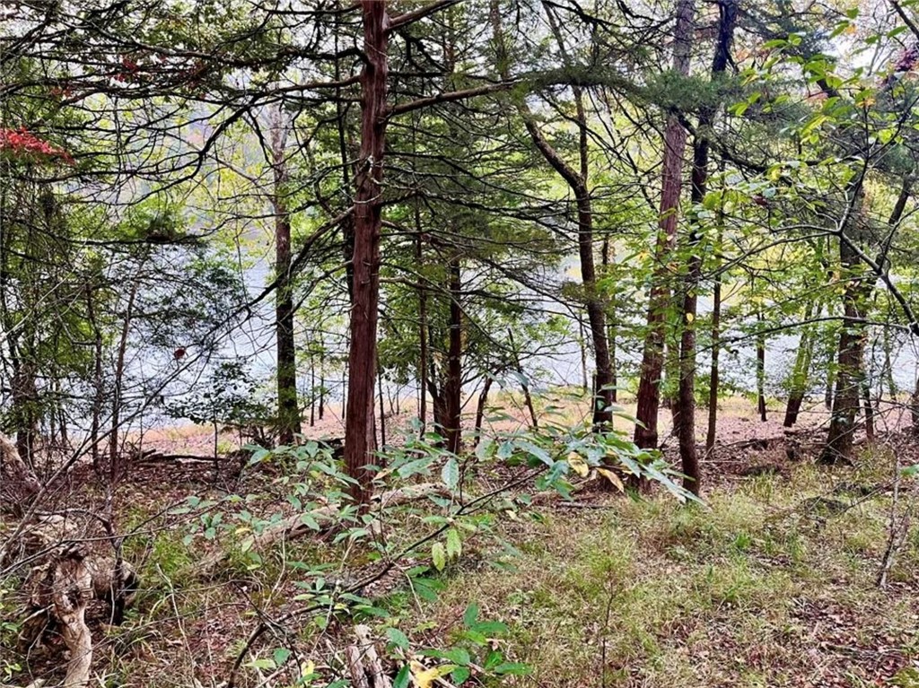 Unit 116 Holiday Island - Land