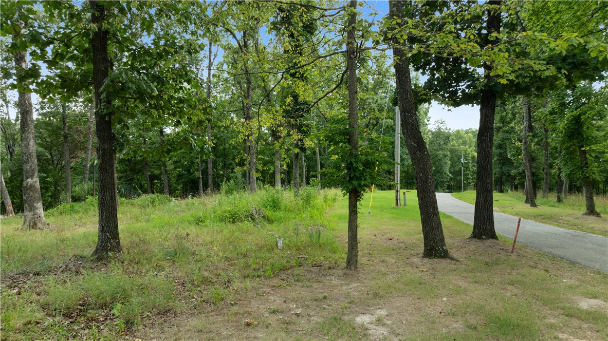 16-19-29-RURAL - Land