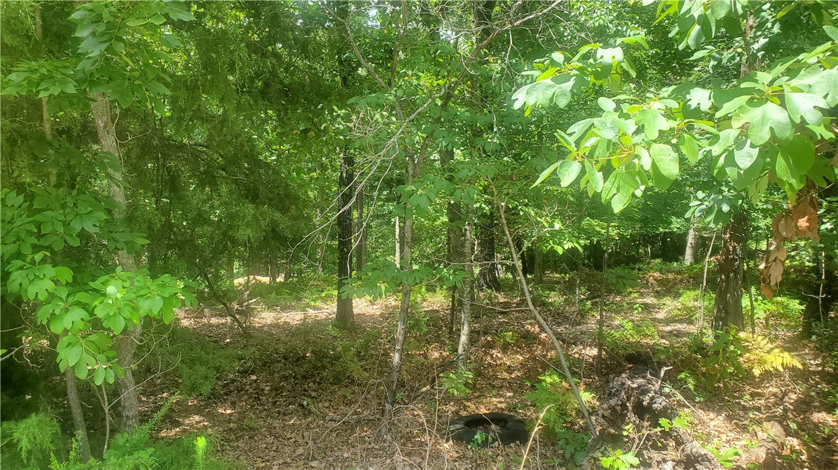 Nestled in a tranquil cul-de-sac on Romsey Lane, offers an excellent location for your dream home. The lot’s topography is a comfortable blend of level and gentle slopes, making for both easy construction and thoughtful landscaping options. This lot is perfect for builders and buyers seeking a ready-to-build site that combines manageable terrain, location convenience, and community benefits. From Romsey Lane, you are just minutes away from Lake Ann and trails. Plus, with the upcoming OZ Trails Bike Park, you will soon have enhanced access to world-class gravity and hiking trails.