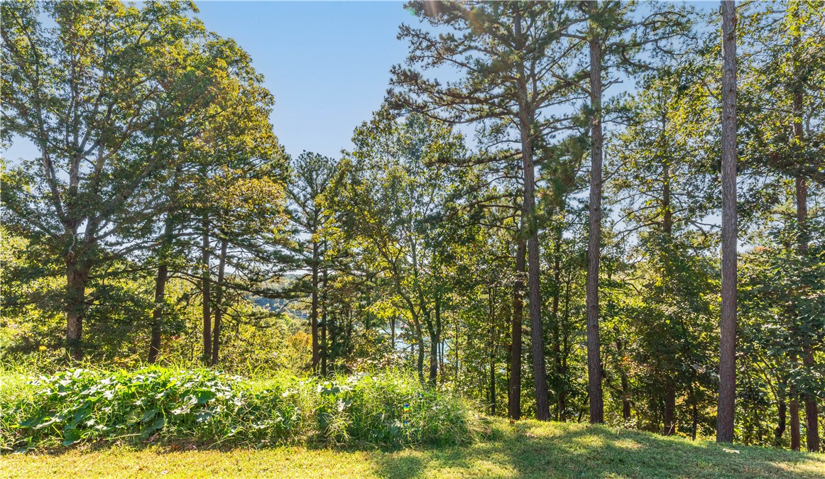 Big Clifty #2 - Residential