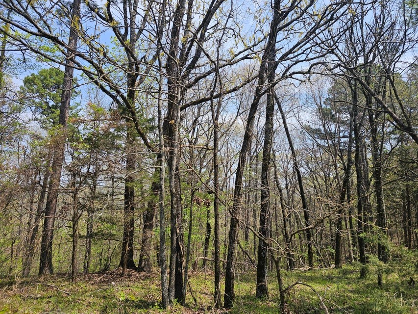 Escape to your own private retreat on 19.80 acres in London, AR! This secluded property is ideal for starting a homestead or enjoying prime hunting land. A 240-ft well has been drilled, hitting a spring at 40 ft that provides approximately 300 gallons of water daily. A 32-ft 5th wheel camper is available for buyers who wish to stay or can be removed at closing. Don't miss this rare opportunity for off-grid living and outdoor adventure!