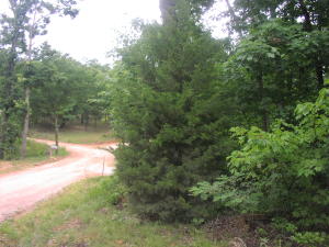 Nice easy access off county road on this 14.57 acres with water on site and power available. Only a few miles outside of Jasper.