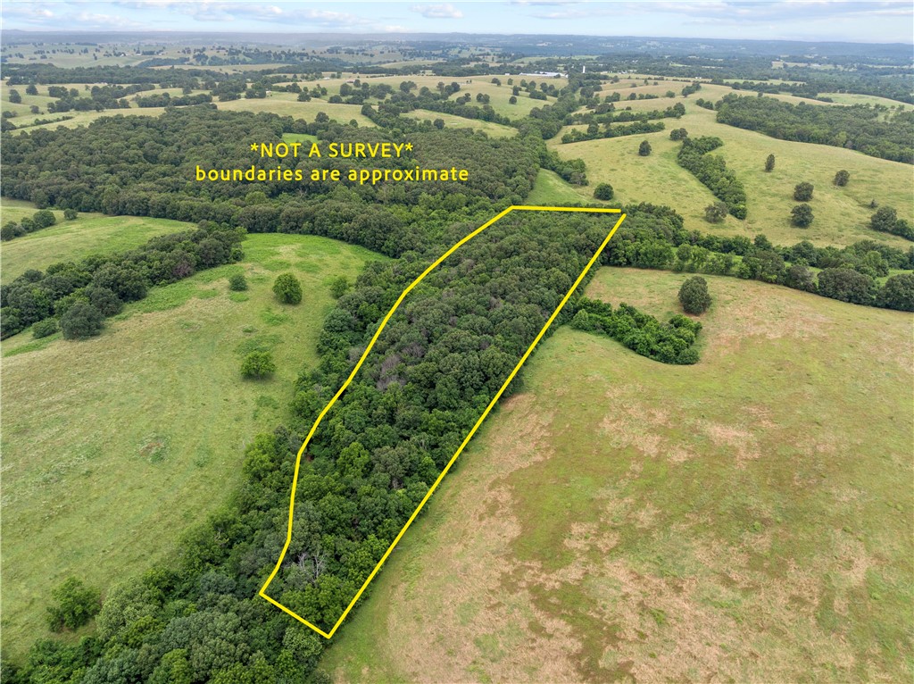 17.03 acres (m/l) with easy access via county road frontage, this property offers convenience with seclusion.
Large mature trees provide a peaceful canopy and wildlife call this place home. Whether you are looking for homesteading, hunting, hiking or simply enjoying quiet country life, this property of size is hard to find and even harder to leave.